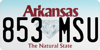 AR license plate 853MSU