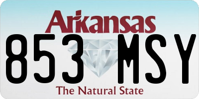 AR license plate 853MSY