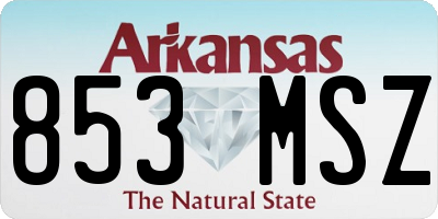 AR license plate 853MSZ