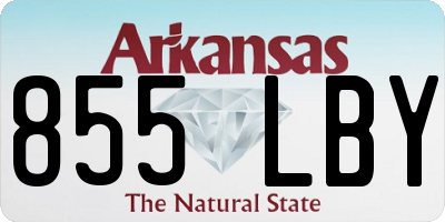 AR license plate 855LBY