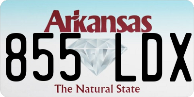 AR license plate 855LDX