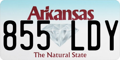 AR license plate 855LDY