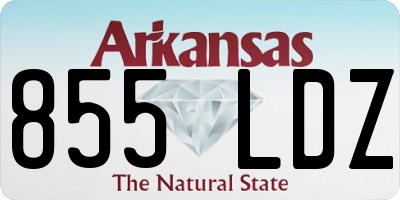 AR license plate 855LDZ
