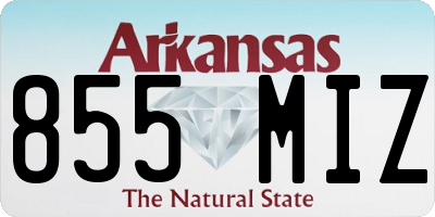 AR license plate 855MIZ