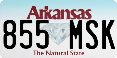 AR license plate 855MSK