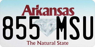 AR license plate 855MSU
