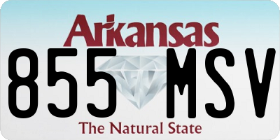 AR license plate 855MSV