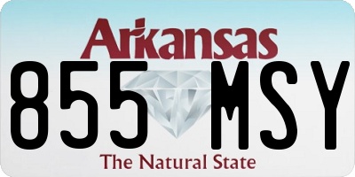 AR license plate 855MSY