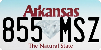 AR license plate 855MSZ