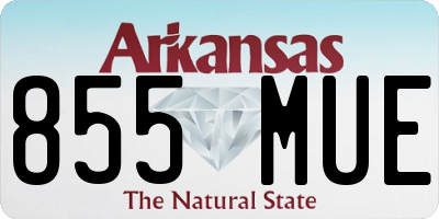 AR license plate 855MUE