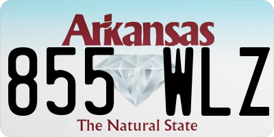 AR license plate 855WLZ