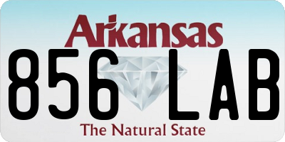 AR license plate 856LAB