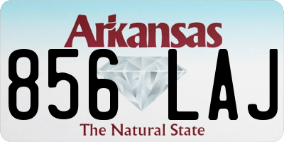 AR license plate 856LAJ
