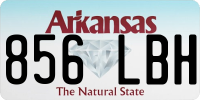 AR license plate 856LBH