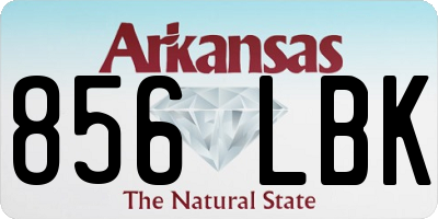 AR license plate 856LBK
