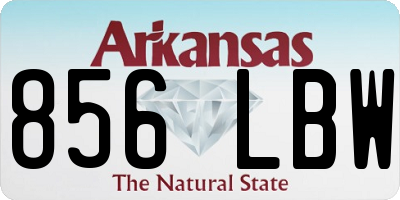 AR license plate 856LBW