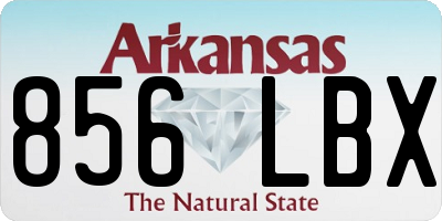 AR license plate 856LBX