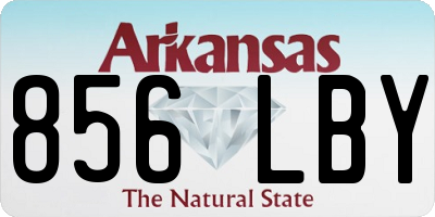 AR license plate 856LBY