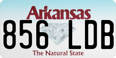 AR license plate 856LDB