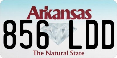 AR license plate 856LDD