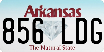 AR license plate 856LDG