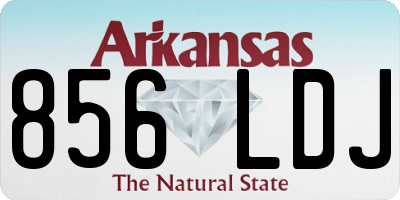 AR license plate 856LDJ