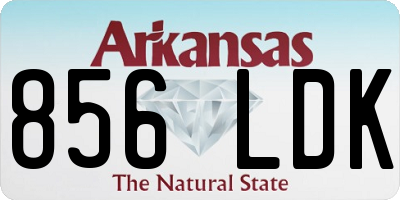 AR license plate 856LDK