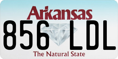 AR license plate 856LDL