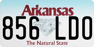 AR license plate 856LDO