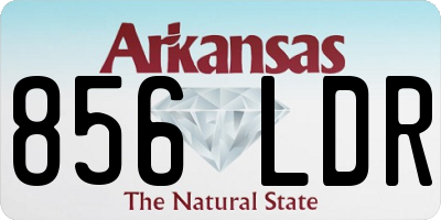 AR license plate 856LDR