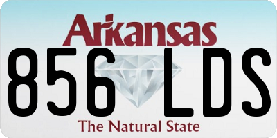 AR license plate 856LDS