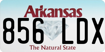 AR license plate 856LDX