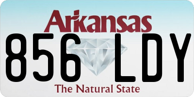AR license plate 856LDY
