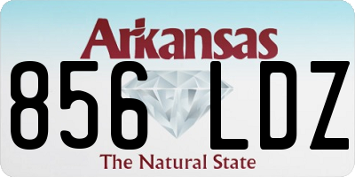 AR license plate 856LDZ