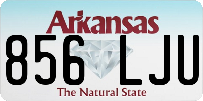 AR license plate 856LJU