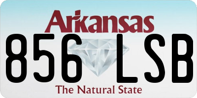 AR license plate 856LSB