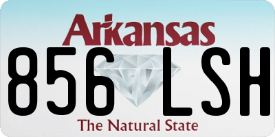AR license plate 856LSH