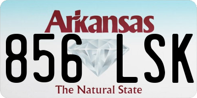 AR license plate 856LSK