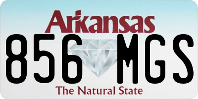 AR license plate 856MGS