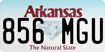 AR license plate 856MGU