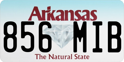 AR license plate 856MIB