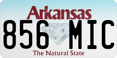 AR license plate 856MIC