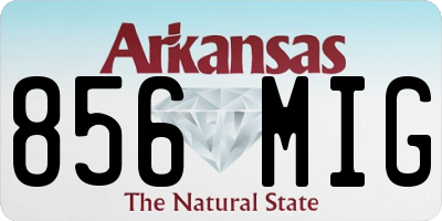 AR license plate 856MIG