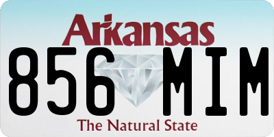AR license plate 856MIM