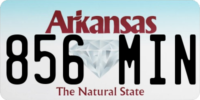 AR license plate 856MIN