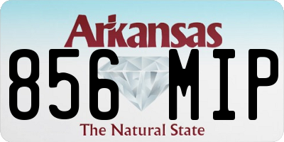 AR license plate 856MIP