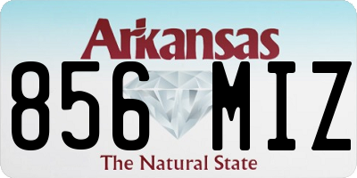 AR license plate 856MIZ