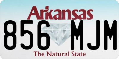 AR license plate 856MJM