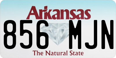 AR license plate 856MJN