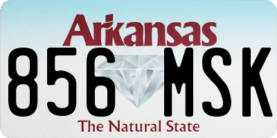 AR license plate 856MSK